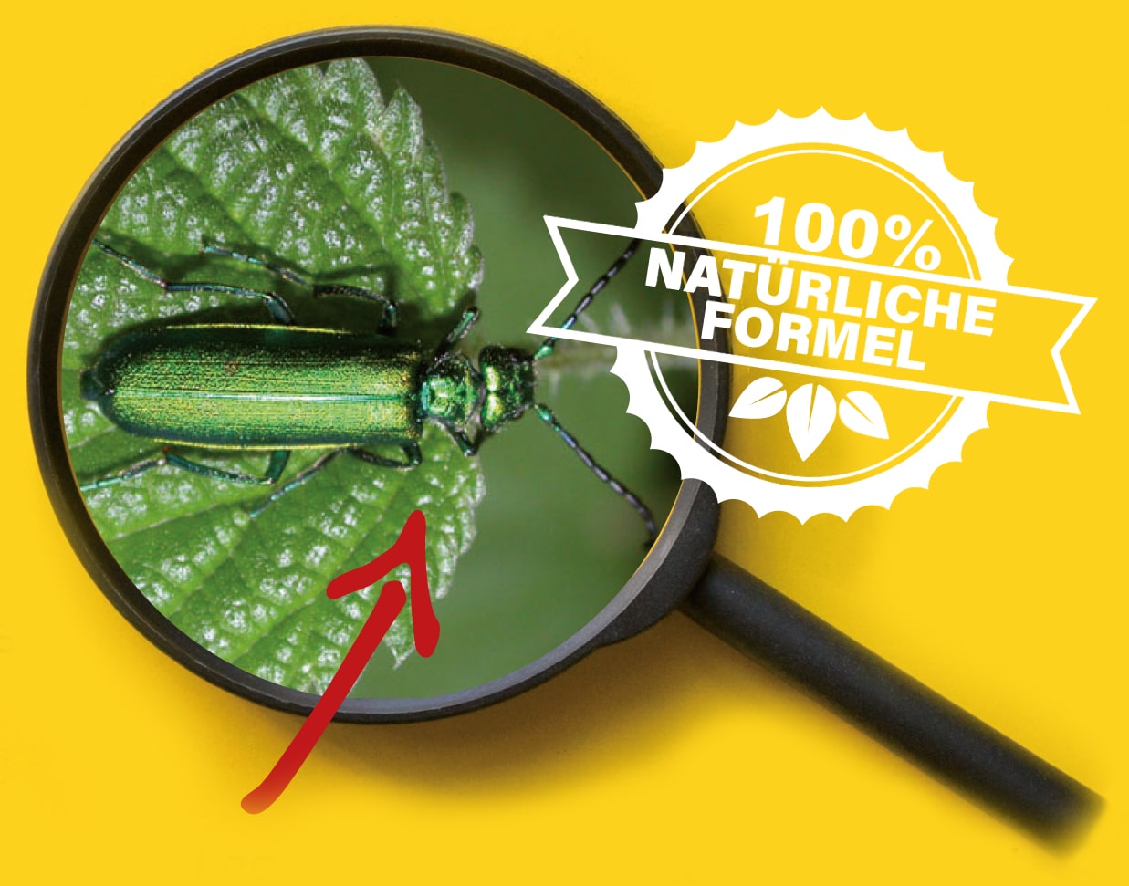 Die Cantharis-Fliege unter der Lupe – 100% natürliche Formel